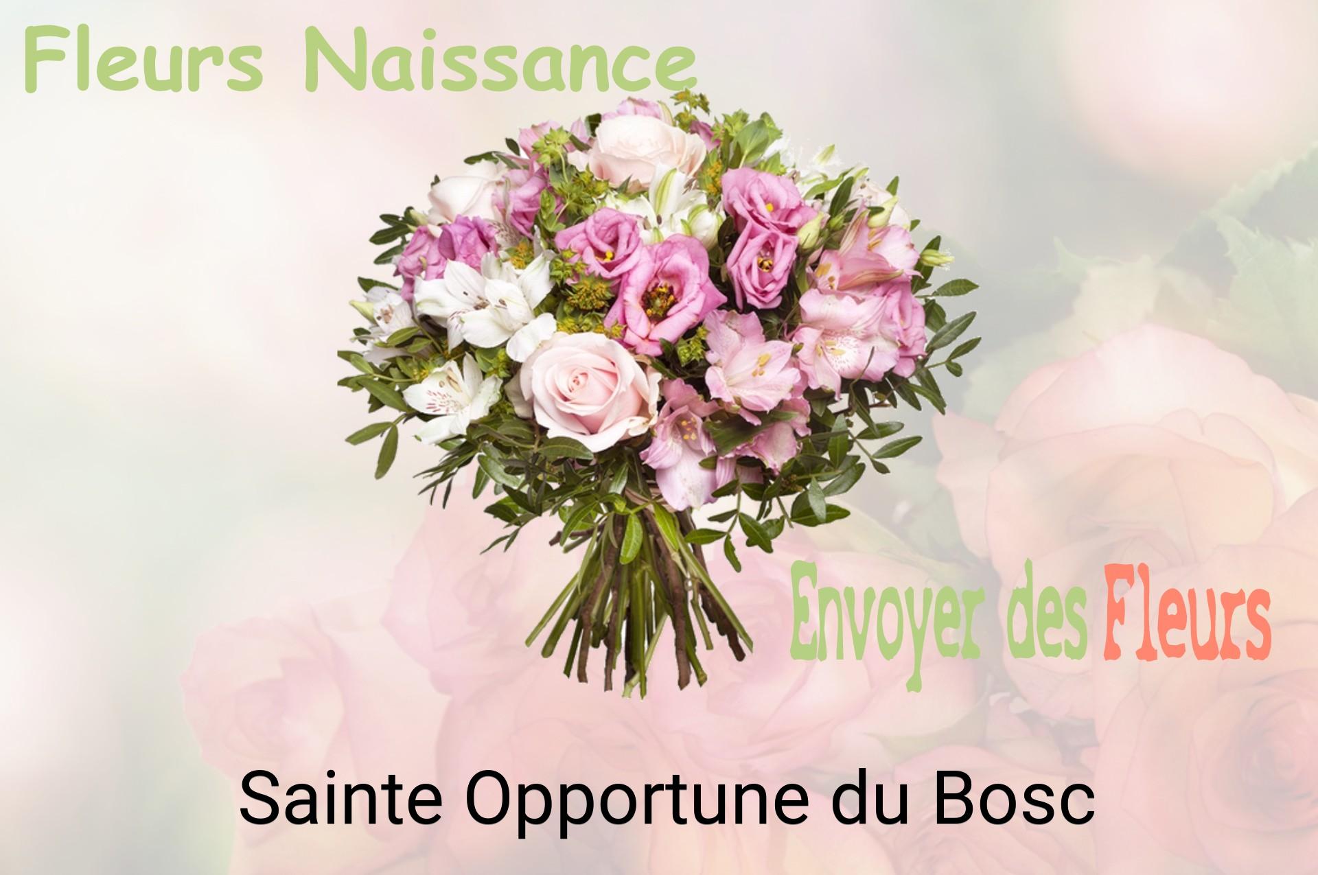 Bouquet de fleurs de naissance livré à Sainte-Opportune-du-Bosc