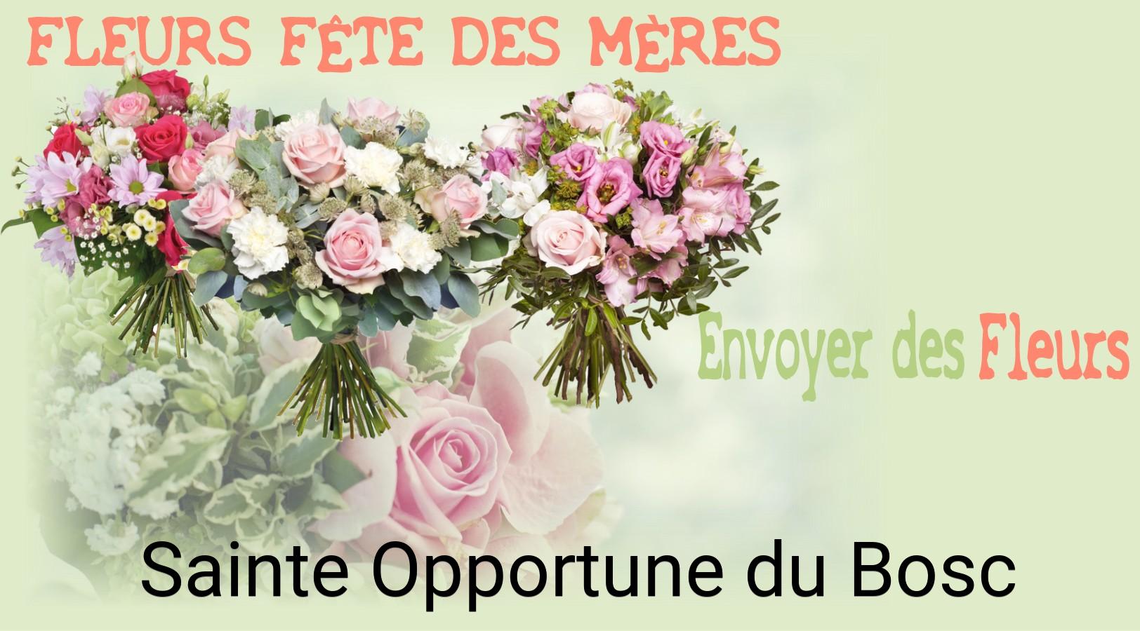 Bouquet de Fête des Mères livré à Sainte-Opportune-du-Bosc